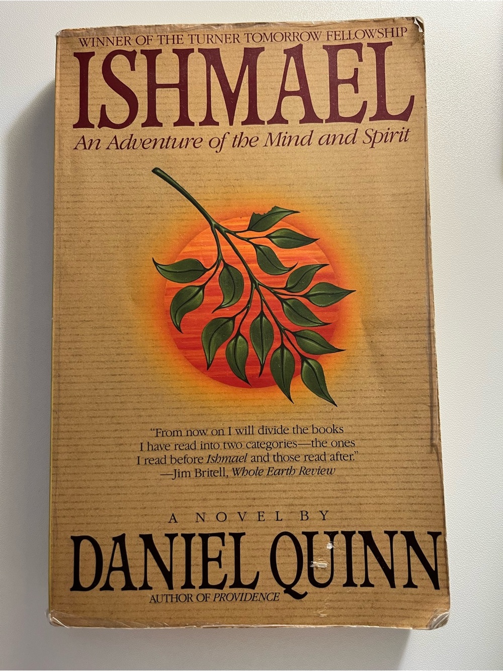 Ishmael by Daniel Quinn Paperback Book Beige Cover, Green & Orange Illustration